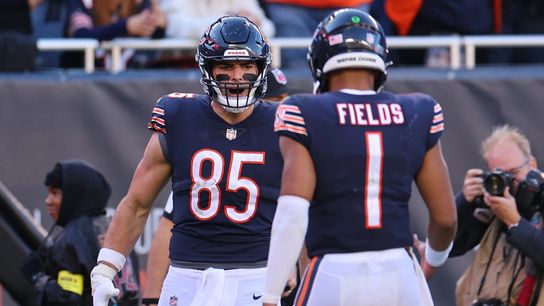 The Good, The Bad, and The Other from Bears' loss to Dolphins (2022 Season)