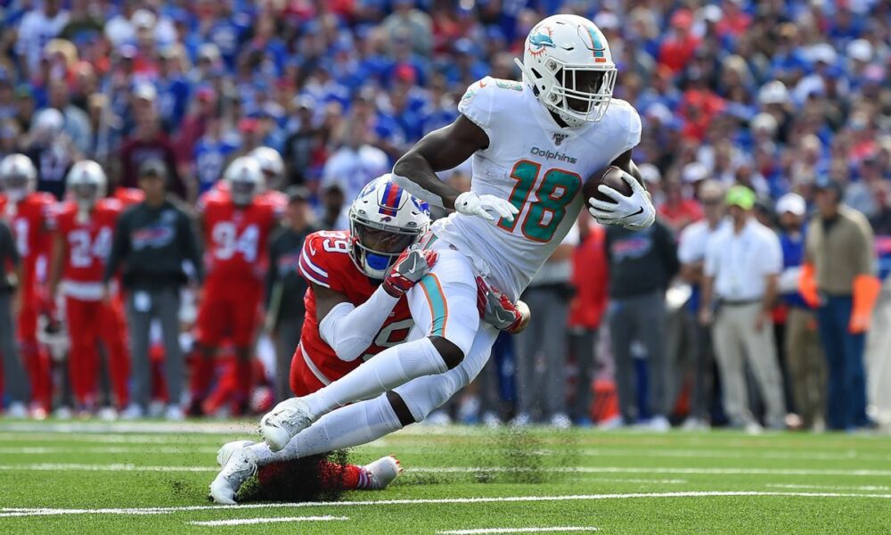 Should the Bears sign WR Preston Williams? (2022 Season)