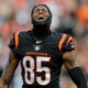Tee Higgins says he hopes to be a Bengal 'for a while' (Free Agency)