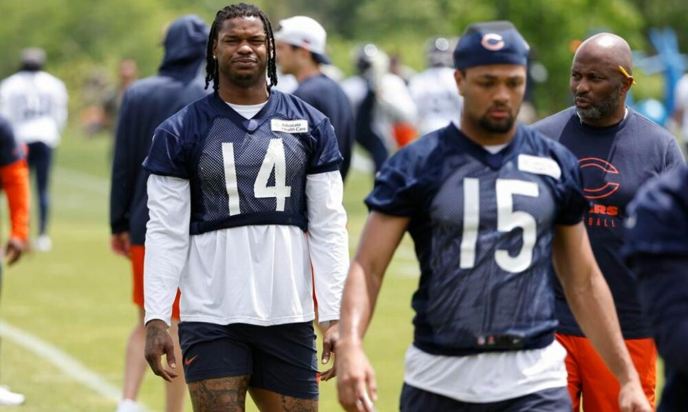 Bears TE Gerald Everett placed on non-football injury list (News)