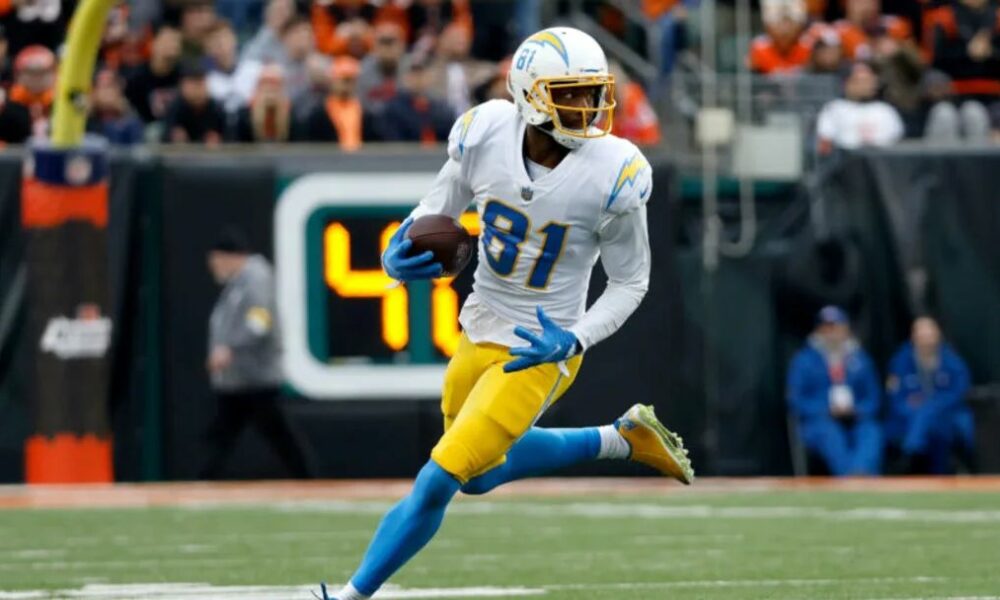 Should the Bears sign former Chargers WR Mike Williams? (Free Agency)