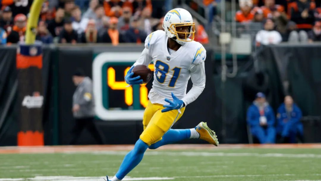 Should the Bears sign former Chargers WR Mike Williams? (Free Agency)
